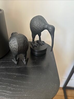 Set of Two Black Decorative Kiwi Bird Sculptures